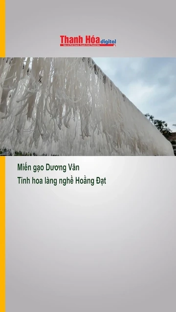 Miến gạo Dương Vân - Tinh hoa làng nghề Hoằng Đạt | Báo Thanh Hóa