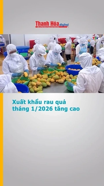 Xuất khẩu rau quả tháng 1/2026 tăng cao