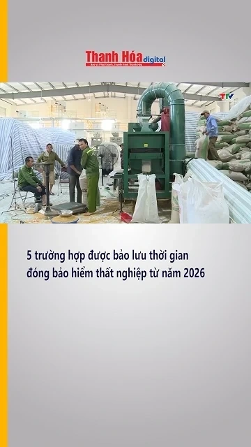 5 trường hợp được bảo lưu thời gian đóng bảo hiểm thất nghiệp từ năm 2026