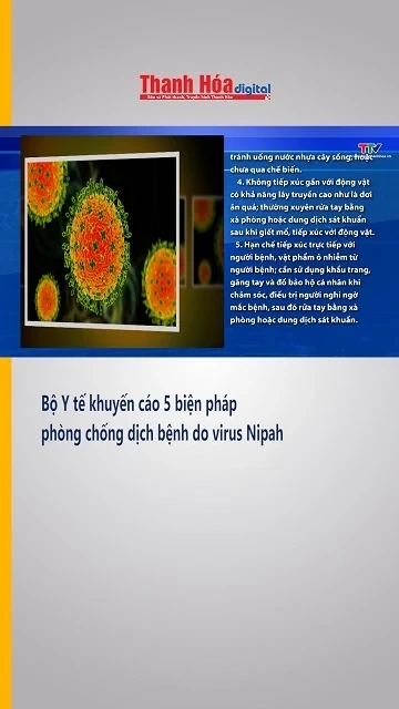 Bộ Y tế khuyến cáo 5 biện pháp phòng chống dịch bệnh do virus Nipah