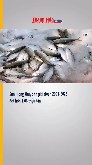 Sản lượng thủy sản giai đoạn 2021-2025 đạt hơn 1,06 triệu tấn