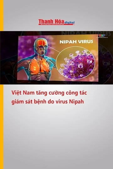 Việt Nam tăng cường công tác giám sát bệnh do virus Nipah