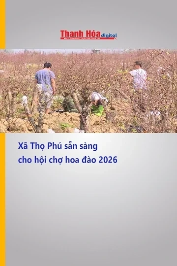 Xã Thọ Phú sẵn sàng cho hội chợ hoa đào 2026