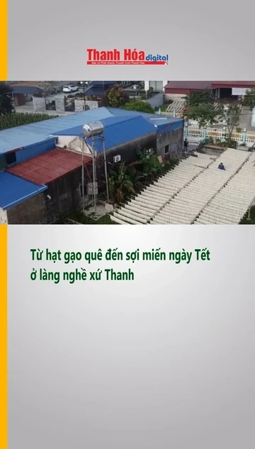 Từ hạt gạo quê đến sợi miến ngày Tết ở làng nghề xứ Thanh