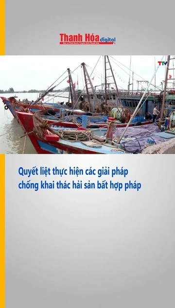 Quyết liệt thực hiện các giải pháp chống khai thác hải sản bất hợp pháp