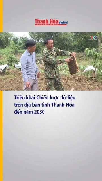Triển khai Chiến lược dữ liệu trên địa bàn tỉnh Thanh Hóa đến năm 2030