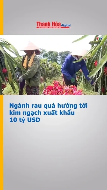 Ngành rau quả hướng tới kim ngạch xuất khẩu 10 tỷ USD