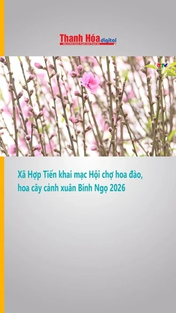 Xã Hợp Tiến khai mạc Hội chợ hoa đào, hoa cây cảnh xuân Bính Ngọ 2026