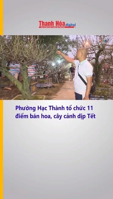 Phường Hạc Thành tổ chức 11 điểm bán hoa, cây cảnh dịp Tết