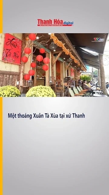 Một thoáng xuân Tà Xùa tại xứ Thanh