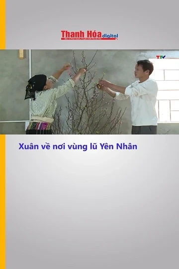 Xuân về nơi vùng lũ Yên Nhân