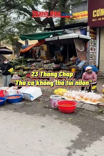 23 tháng Chạp, thả cá đừng thả túi nilon
