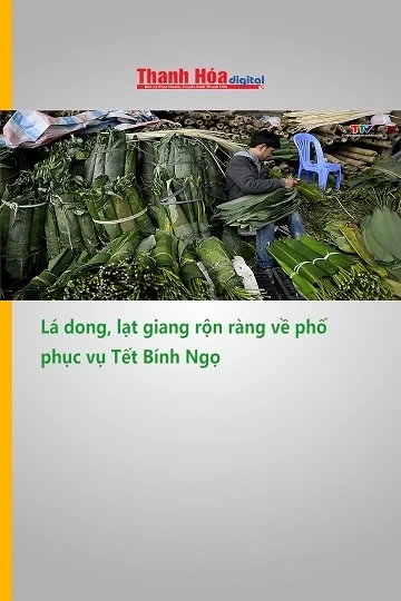 Lá dong, lạt giang rộn ràng về phố