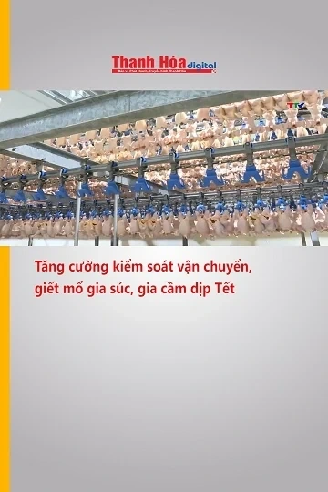 Tăng cường kiểm soát vận chuyển, giết mổ gia súc, gia cầm dịp Tết