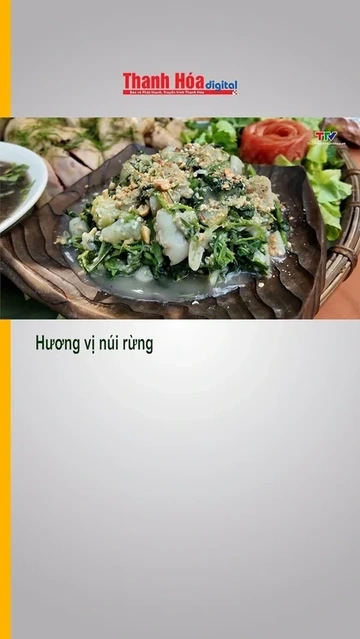 Hương vị núi rừng