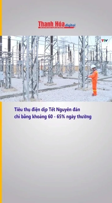 Tiêu thụ điện dịp Tết Nguyên đán chỉ bằng khoảng 60 - 65% ngày thường