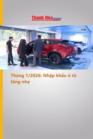 Tháng 1/2026: Nhập khẩu ô tô tăng nhẹ