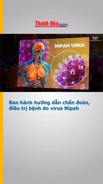 Ban hành hướng dẫn chẩn đoán, điều trị bệnh do virus Nipah