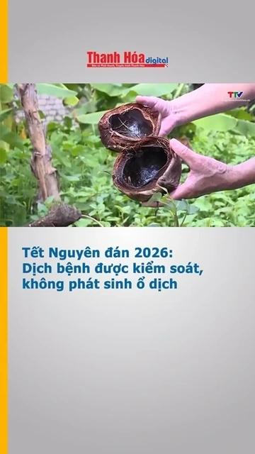 Tết Nguyên đán 2026: Dịch bệnh được kiểm soát, không phát sinh ổ dịch