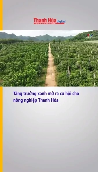 Tăng trưởng xanh mở ra cơ hội cho nông nghiệp Thanh Hóa