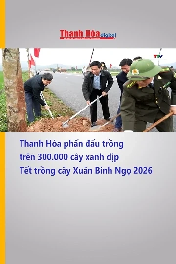 Thanh Hóa phấn đấu trồng trên 300.000 cây xanh dịp Tết trồng cây Xuân Bính Ngọ 2026