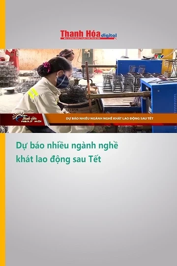 Dự báo nhiều ngành nghề khát lao động sau Tết