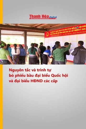 Nguyên tắc và trình tự bỏ phiếu bầu đại biểu Quốc hội và đại biểu HĐND các cấp
