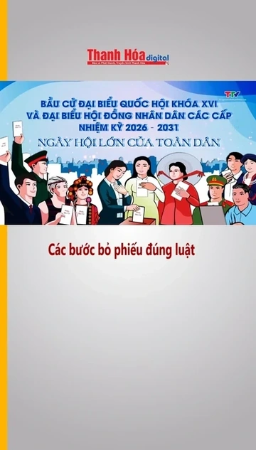 Các bước bỏ phiếu đúng luật