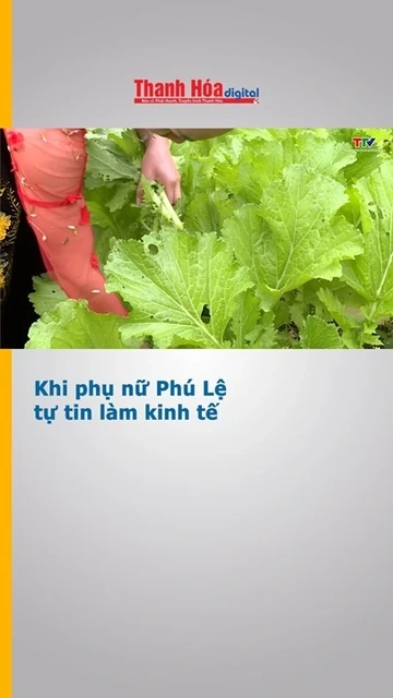 Khi phụ nữ Phú Lệ tự tin làm kinh tế