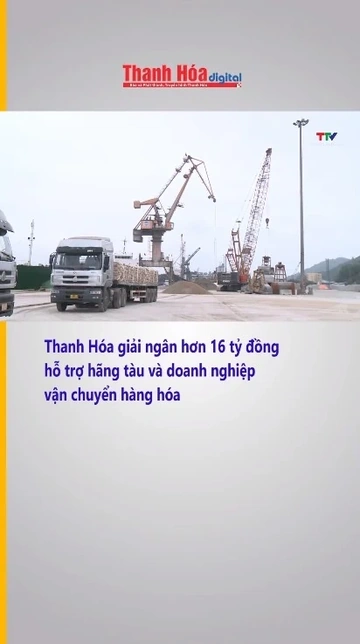 Thanh Hóa giải ngân hơn 16 tỷ đồng hỗ trợ hãng tàu và doanh nghiệp vận chuyển hàng hóa