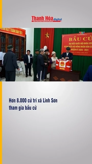 Hơn 8.000 cử tri xã Linh Sơn tham gia bầu cử