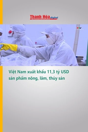 Việt Nam xuất khẩu 11,3 tỷ USD sản phẩm nông, lâm, thủy sản