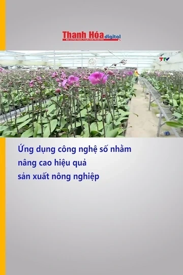 Ứng dụng công nghệ số nhằm nâng cao hiệu quả sản xuất nông nghiệp