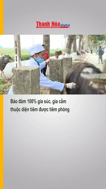 Bảo đảm 100% gia súc, gia cầm thuộc diện tiêm được tiêm phòng