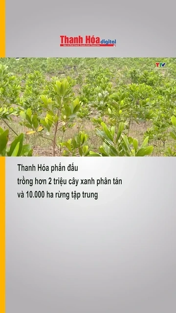 Thanh Hóa phấn đấu trồng hơn 2 triệu cây xanh phân tán và 10.000 ha rừng tập trung
