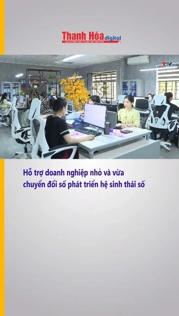 Hỗ trợ doanh nghiệp nhỏ và vừa chuyển đổi số phát triển hệ sinh thái số