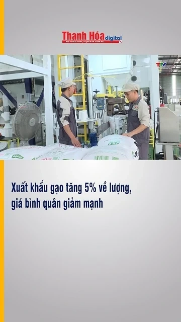 Xuất khẩu gạo tăng 5% về lượng, giá bình quân giảm mạnh