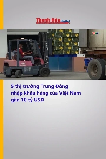 5 thị trường Trung Đông nhập khẩu hàng của Việt Nam gần 10 tỷ USD