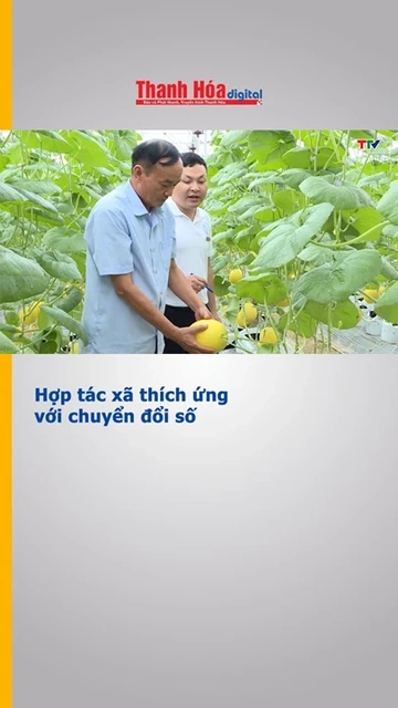 Hợp tác xã thích ứng với chuyển đổi số