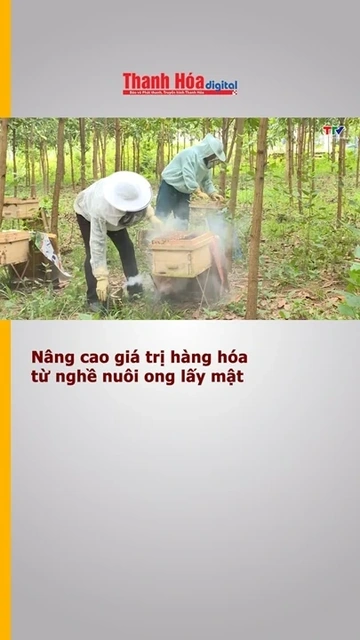 Nâng cao giá trị hàng hóa từ nghề nuôi ong lấy mật