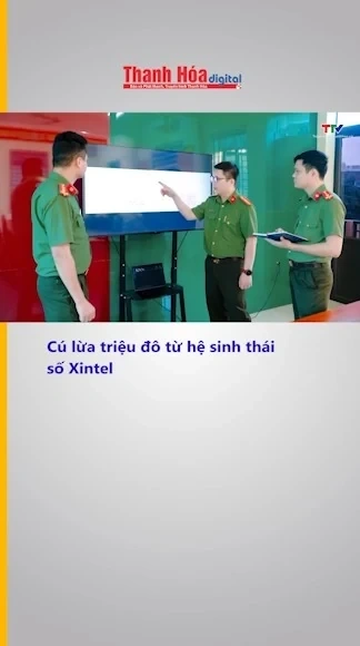 Cú lừa triệu đô từ hệ sinh thái số Xintel