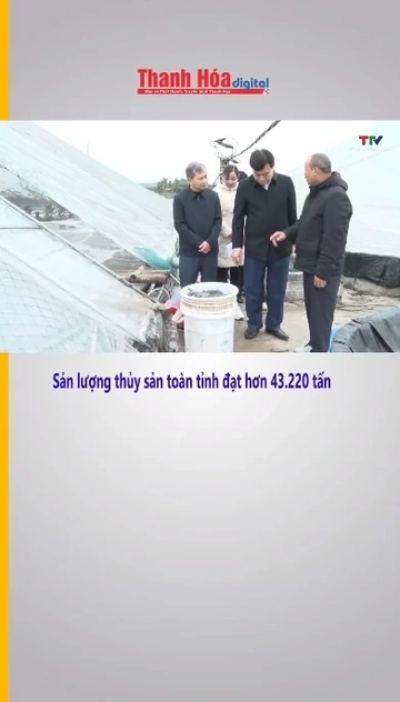 Sản lượng thủy sản toàn tỉnh đạt hơn 43.220 tấn