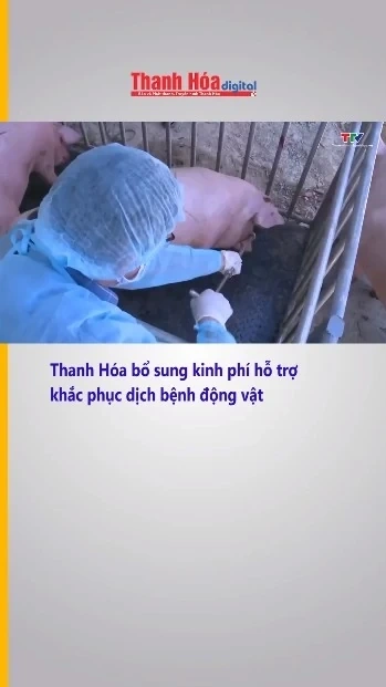 Thanh Hóa bổ sung kinh phí hỗ trợ khắc phục dịch bệnh động vật