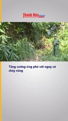 Tăng cường ứng phó với nguy cơ cháy rừng