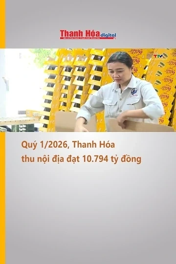 Quý 1/2026, Thanh Hóa thu nội địa đạt 10.794 tỷ đồng