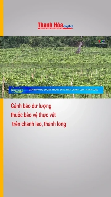 Cảnh báo dư lượng thuốc bảo vệ thực vật trên chanh leo, thanh long
