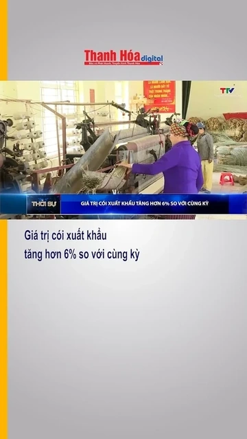 Giá trị cói xuất khẩu tăng hơn 6% so với cùng kỳ