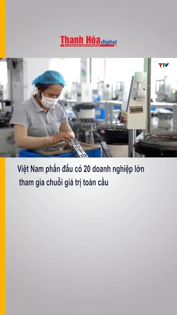 Việt Nam phấn đấu có 20 doanh nghiệp lớn tham gia chuỗi giá trị toàn cầu