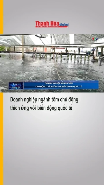 Doanh nghiệp ngành tôm chủ động thích ứng với biến động quốc tế