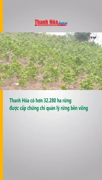 Thanh Hóa có hơn 32.280 ha rừng được cấp chứng chỉ quản lý rừng bền vững